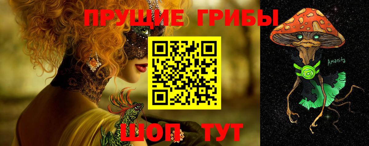 Галлюциногенные грибы мицелий Кохма